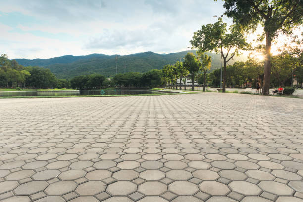 Best Permeable Paver Driveway  in Merkel, TX